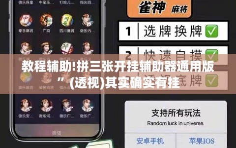 教程辅助!拼三张开挂辅助器通用版”(透视)其实确实有挂