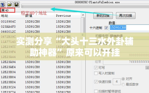 实测分享“大头十三水外卦辅助神器”原来可以开挂