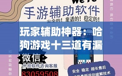 玩家辅助神器：哈狗游戏十三道有漏洞吗(透视)”开挂辅助脚本+详细开挂安装教程