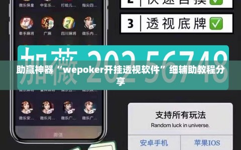 助赢神器“wepoker开挂透视软件”细辅助教程分享