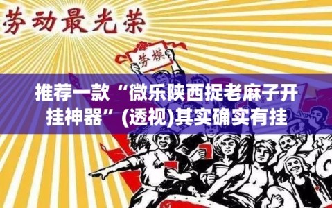 推荐一款“微乐陕西捉老麻子开挂神器”(透视)其实确实有挂