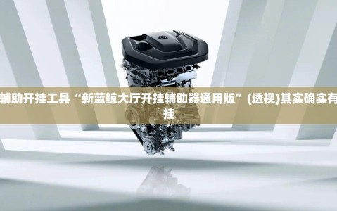 辅助开挂工具“新蓝鲸大厅开挂辅助器通用版”(透视)其实确实有挂