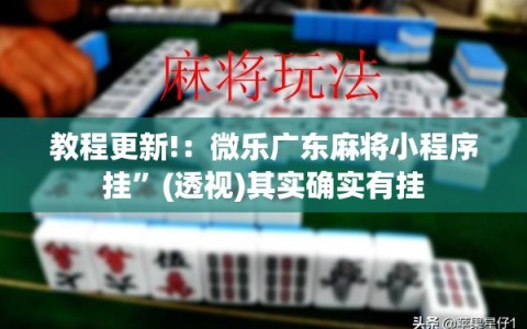 教程更新!：微乐广东麻将小程序挂”(透视)其实确实有挂