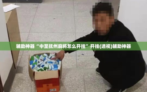 辅助神器“中至抚州麻将怎么开挂”开挂(透视)辅助神器