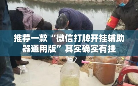 推荐一款“微信打牌开挂辅助器通用版”其实确实有挂
