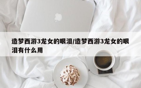 造梦西游3龙女的眼泪/造梦西游3龙女的眼泪有什么用