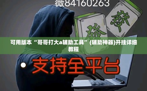 可用版本“哥哥打大a辅助工具”(辅助神器)开挂详细教程