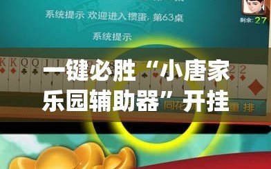 一键必胜“小唐家乐园辅助器”开挂(透视)辅助教程