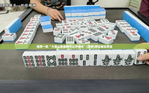 推荐一款“大唐山西麻将可以开挂吗”(透视)其实确实有挂