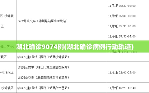 湖北确诊9074例(湖北确诊病例行动轨迹)