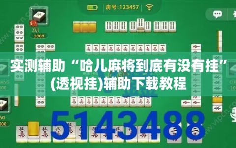 实测辅助“哈儿麻将到底有没有挂”(透视挂)辅助下载教程