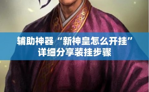 辅助神器“新神皇怎么开挂”详细分享装挂步骤