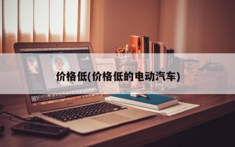价格低(价格低的电动汽车)