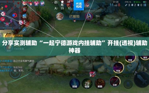 分享实测辅助“一起宁德游戏内挂辅助”开挂(透视)辅助神器
