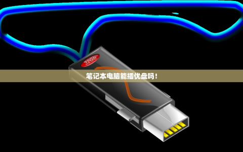 笔记本电脑能插优盘吗！