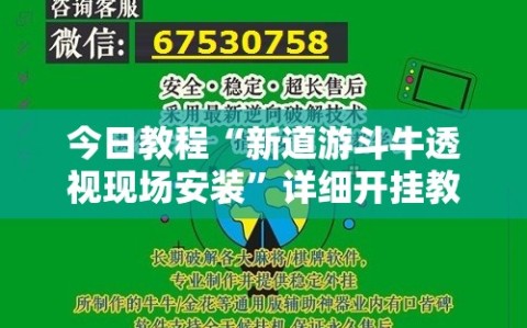 今日教程“新道游斗牛透视现场安装”详细开挂教程