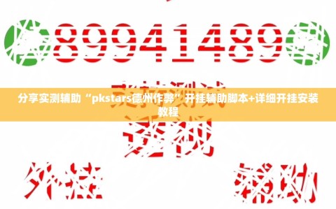 分享实测辅助“pkstars德州作弊”开挂辅助脚本+详细开挂安装教程