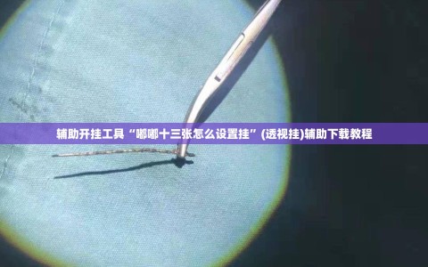 辅助开挂工具“嘟嘟十三张怎么设置挂”(透视挂)辅助下载教程