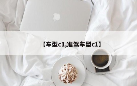【车型c1,准驾车型c1】