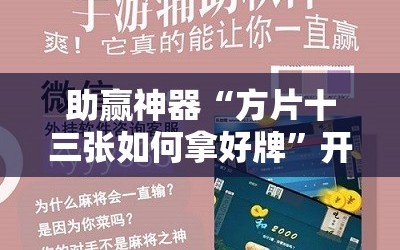助赢神器“方片十三张如何拿好牌”开挂辅助脚本+详细开挂安装教程
