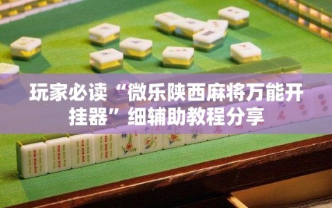 玩家必读“微乐陕西麻将万能开挂器”细辅助教程分享