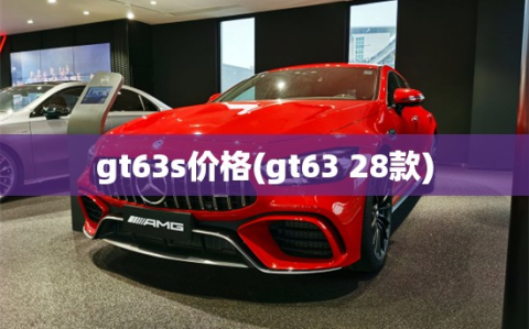gt63s价格(gt63 28款)