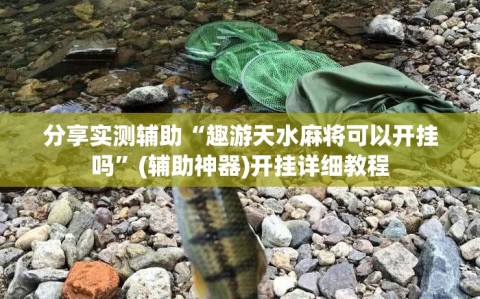 分享实测辅助“趣游天水麻将可以开挂吗”(辅助神器)开挂详细教程
