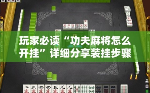 玩家必读“功夫麻将怎么开挂”详细分享装挂步骤