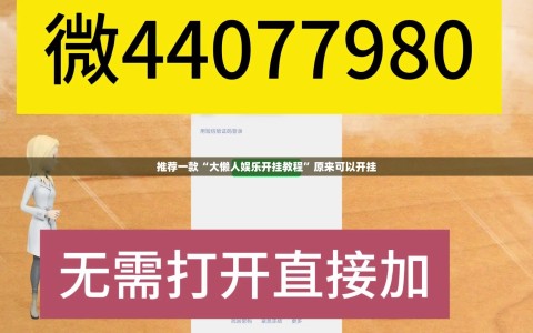 推荐一款“大懒人娱乐开挂教程”原来可以开挂