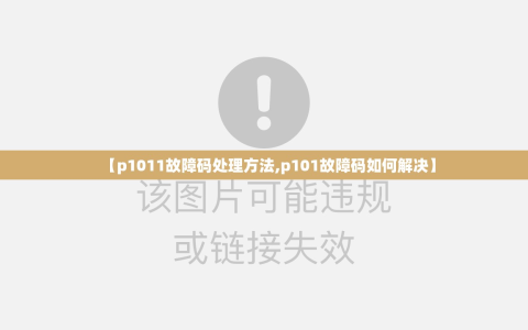【p1011故障码处理方法,p101故障码如何解决】