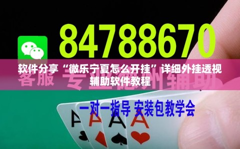软件分享“微乐宁夏怎么开挂”详细外挂透视辅助软件教程