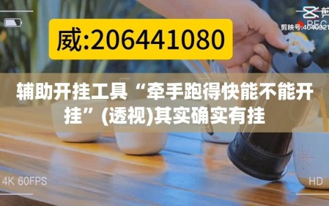辅助开挂工具“牵手跑得快能不能开挂”(透视)其实确实有挂
