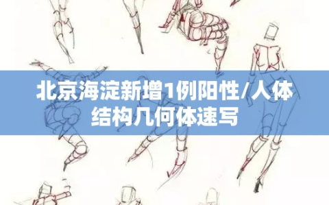 北京海淀新增1例阳性/人体结构几何体速写