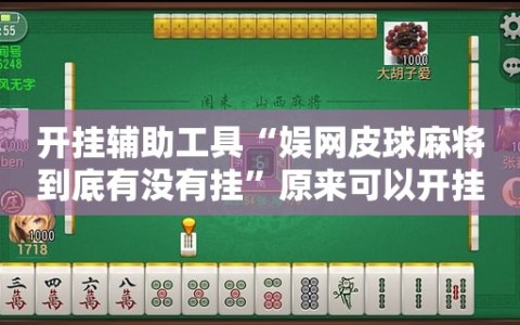 开挂辅助工具“娱网皮球麻将到底有没有挂”原来可以开挂