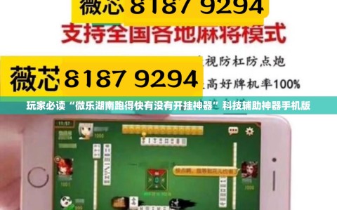 玩家必读“微乐湖南跑得快有没有开挂神器”科技辅助神器手机版