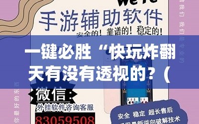 一键必胜“快玩炸翻天有没有透视的？(透视)”开挂辅助脚本+详细开挂安装教程