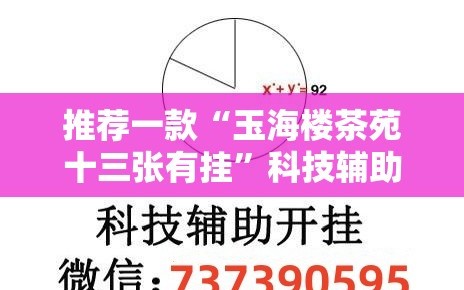 推荐一款“玉海楼茶苑十三张有挂”科技辅助神器手机版