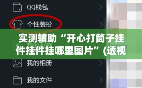 实测辅助“开心打筒子挂件挂件挂哪里图片”(透视挂)辅助下载教程
