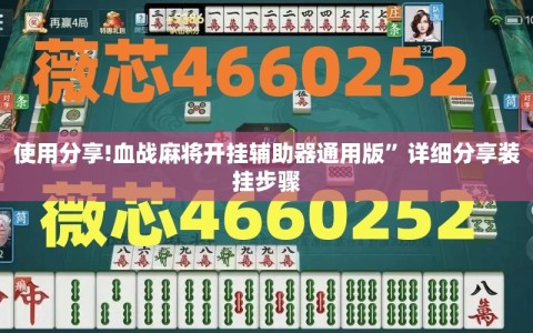 使用分享!血战麻将开挂辅助器通用版”详细分享装挂步骤