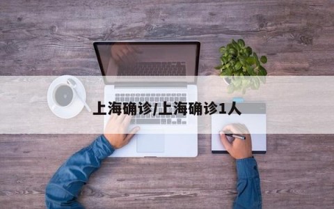 上海确诊/上海确诊1人