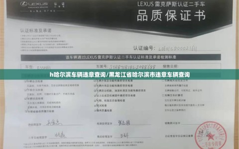 h哈尔滨车辆违章查询/黑龙江省哈尔滨市违章车辆查询