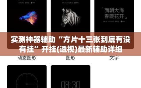 实测神器辅助“方片十三张到底有没有挂”开挂(透视)最新辅助详细