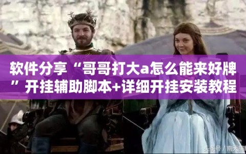 软件分享“哥哥打大a怎么能来好牌”开挂辅助脚本+详细开挂安装教程