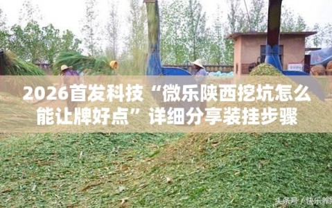 2026首发科技“微乐陕西挖坑怎么能让牌好点”详细分享装挂步骤