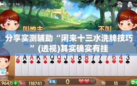 分享实测辅助“闲来十三水洗牌技巧”(透视)其实确实有挂