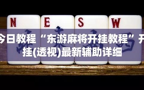 今日教程“东游麻将开挂教程”开挂(透视)最新辅助详细