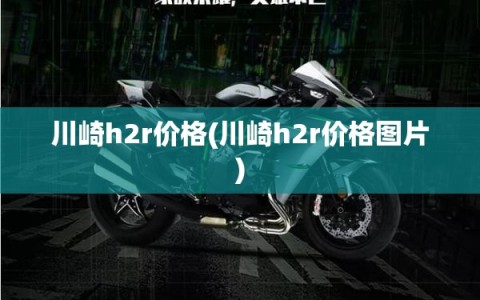 川崎h2r价格(川崎h2r价格图片)