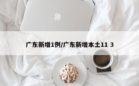 广东新增1例/广东新增本土11 3
