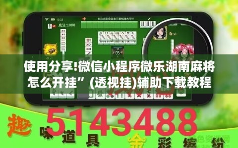 使用分享!微信小程序微乐湖南麻将怎么开挂”(透视挂)辅助下载教程