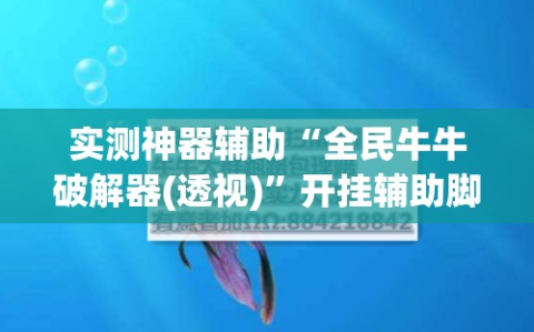 实测神器辅助“全民牛牛破解器(透视)”开挂辅助脚本+详细开挂安装教程